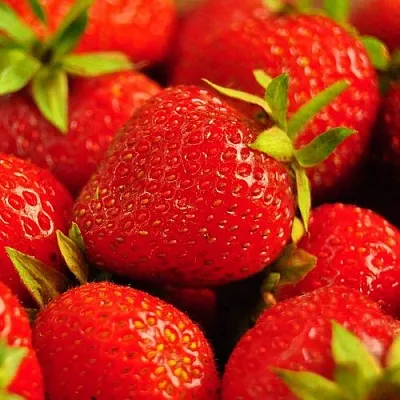 Клубника в Волжском