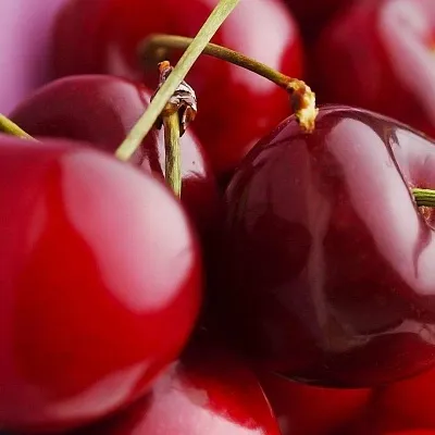 Вишня в Волжском