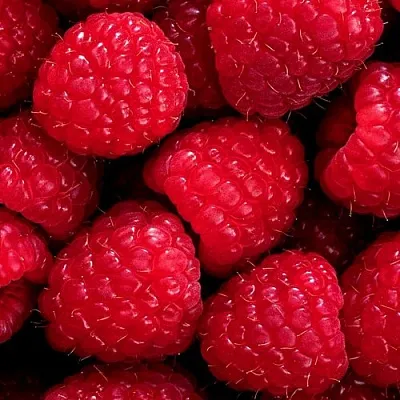 Малина в Волжском