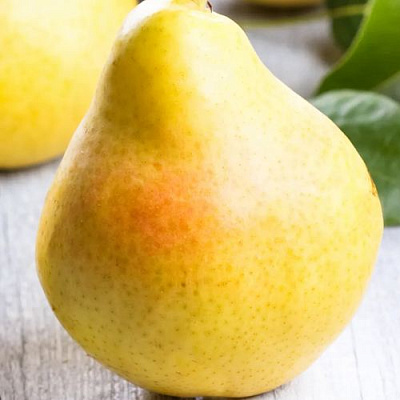 Желтая в Волжском