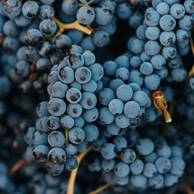 Технический в Волжском