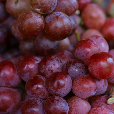 Красный в Волжском